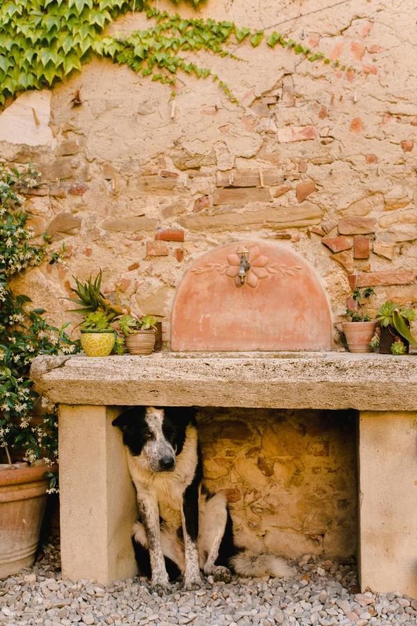 Agriturismo Il Rigo San Quirico dʼOrcia Zewnętrze zdjęcie